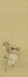 Hejre og lotus, Edo-periode, midten af det 17.-begyndelsen af det 18. århundrede (blæk og farve på silke) af Kano Tsunenobu