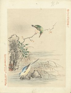 Kingfisher ser på fugl ved vand Blomster- og fugleskitser af Kano Tsunenobu (serietitel) Kano Tsunenobu kacho gafu (serietitel på objekt)