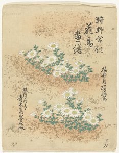 Indeks Blomster- og fugleskitser af Kano Tsunenobu (serietitel) Kano Tsunenobu kacho gafu (serietitel på objekt) af Kano Tsunenobu