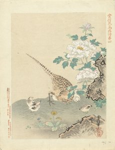 Vagtel med kyllinger Blomster- og fugleskitser af Kano Tsunenobu (serietitel) Kano Tsunenobu kacho gafu (serietitel på objekt) af Kano Tsunenobu