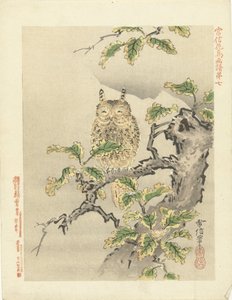 ugle på gren Blomster- og fugleskitser af Kano Tsunenobu (serietitel) Kano Tsunenobu kacho gafu (serietitel på objekt) af Kano Tsunenobu