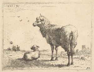 Et modent får i trekvart syn står og kigger til venstre, ved siden af ligger et lam..., ca. 1655.