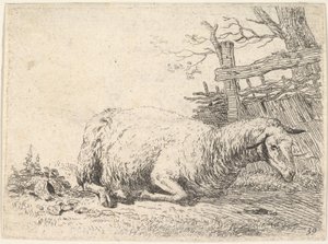 Et får, der ligger med benene foldet under kroppen ved siden af et plankeværk, hun..., ca. 1655.