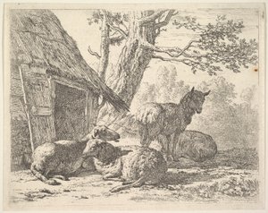 Fire får, et får står blandt tre andre liggende på jorden ved siden af et skur med den..., 1658. af Karel Du Jardin