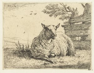 Får ved et hegn af Karel Du Jardin