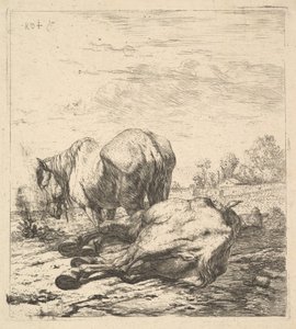 De to heste, 1600-tallet. af Karel Du Jardin