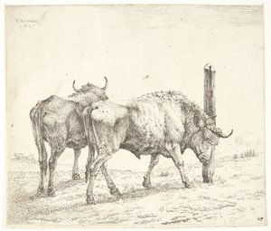 De to okser af Karel Du Jardin