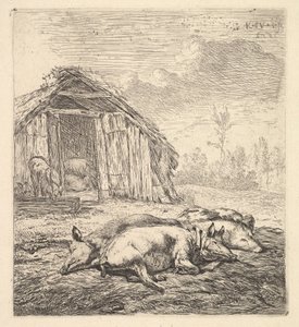 Tre grise liggende på siden, en svinestald og trug bagved, 1652.
