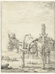 To muldyr af Karel Du Jardin