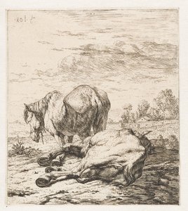 To heste Dyr (serietitel) af Karel Du Jardin