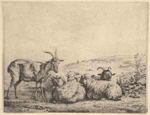 To geder og tre får, 1655. af Karel Du Jardin