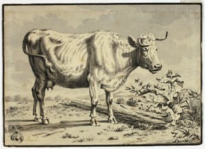 Ko af Karel Dujardin