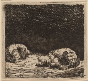 Hund og kat af Karel Dujardin