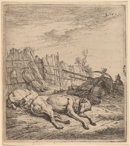 Jagthunde af Karel Dujardin