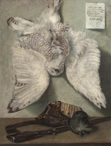 Sneugle af Karel Purkyne