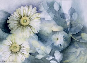 Gerbera Jamemura Godt af Karen Armitage
