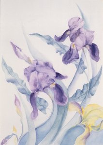 Iris, blå Hoppe af Karen Armitage
