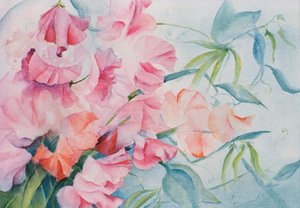 Lathyrus Odoratus, sød ært (vandret) af Karen Armitage