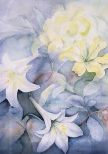Lilium, Hearts Desire og Imperiale af Karen Armitage