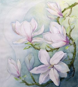 Magnolia (wc) af Karen Armitage