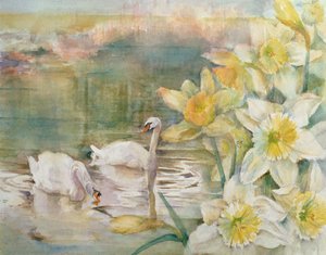 Svaner ved Hurst af Karen Armitage