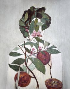 Botanisk illustration med appelsiner af Karenina Fabrizzi
