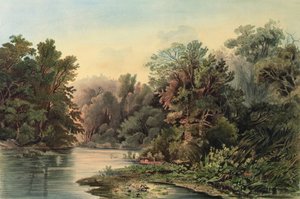 Forest Scene on the Lehigh, Pennsylvania, planche 1 fra bind 2 af `Travels in the Interior of North America
