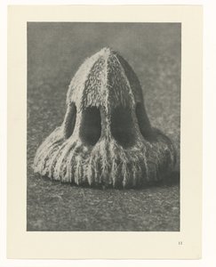 Plantestudier Arketyper af kunst: fotografiske billeder af planter (serietitel) af Karl Blossfeldt