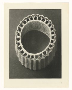 Plantestudier Arketyper af kunst: fotografiske billeder af planter (serietitel) af Karl Blossfeldt