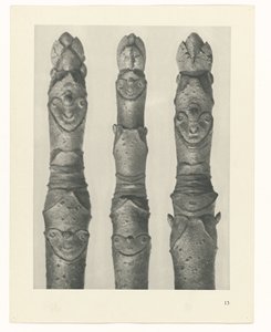planlægge undersøgelse Arketyper af kunst (serietitel) af Karl Blossfeldt