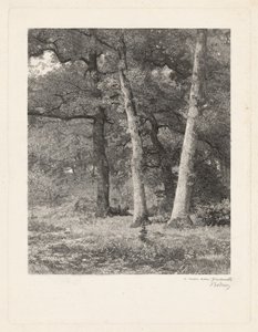 En Skovrydning. af Karl Bodmer