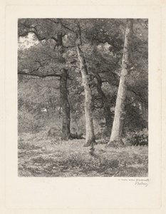 En lysning i skoven af Karl Bodmer