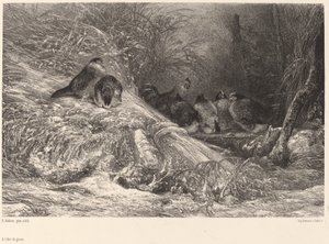 Beskyttet mod frost. af Karl Bodmer