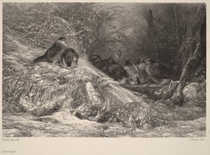  af Karl Bodmer