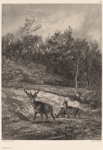 I vandkanten. af Karl Bodmer