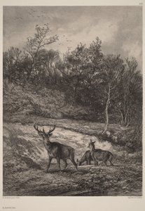 Ved vandet af Karl Bodmer