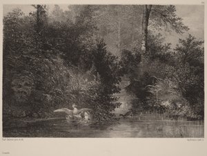  af Karl Bodmer