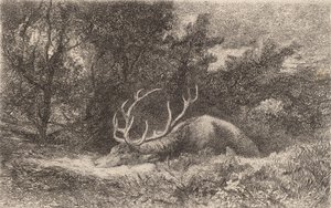 Hjort a la Reposee. af Karl Bodmer