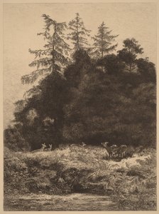  af Karl Bodmer