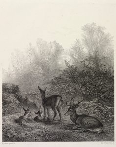 Hjorte i hvile af Karl Bodmer