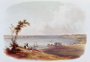 Indgang til New York-bugten, Staten Island, indgraveret af Salathe (farve litho) af Karl Bodmer