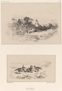 Studier af Karl Bodmer