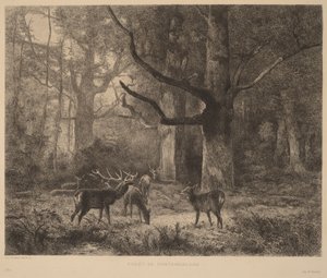  af Karl Bodmer