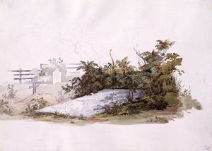 Brødrenes grav ved Gnadenhutten af Karl Bodmer