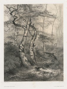 Hare forfulgt af en gåhøg af Karl Bodmer