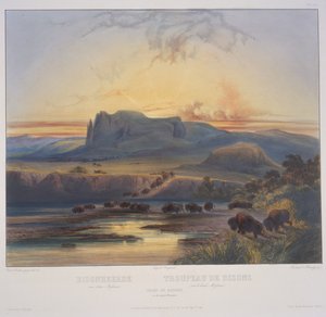 Flok bisoner i Upper Missouri af Karl Bodmer