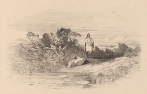 Hejrer. af Karl Bodmer