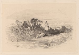 Hejrer af Karl Bodmer