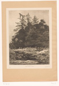 Hjorte i udkanten af ​​en skov Daims dans un parc (titel på objekt) af Karl Bodmer