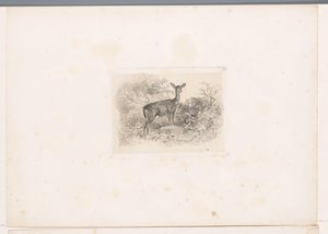 Hindu i skoven Landskaber med dyr (serietitel) af Karl Bodmer